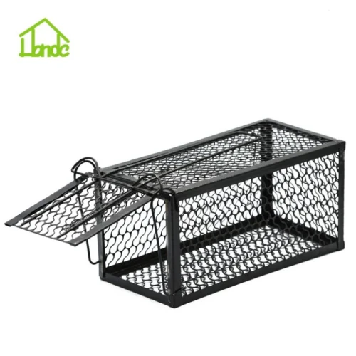 Caij nplooj ntoos hlav nas Trap Cage