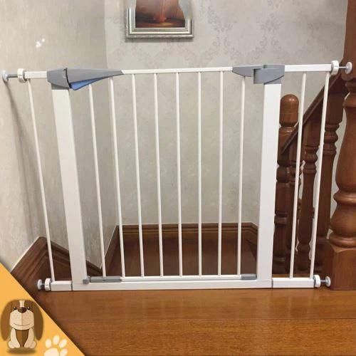 Tus Me Nyuam Qhov Rooj Kev Nyab Xeeb Lub laj kab