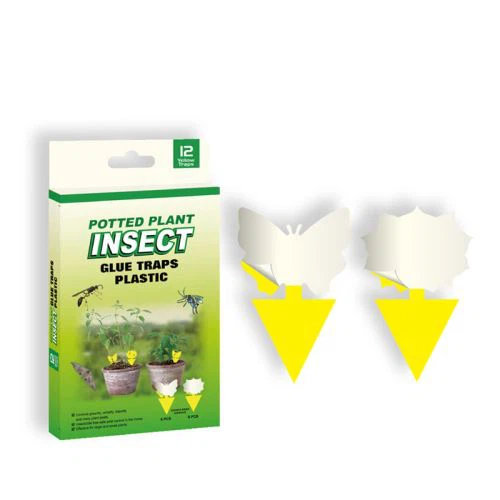 Flying Insect Sticky Trap