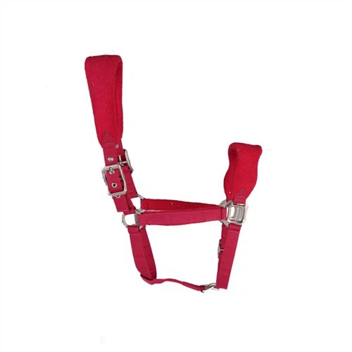 Miniature Nees Halters Thiab Leads